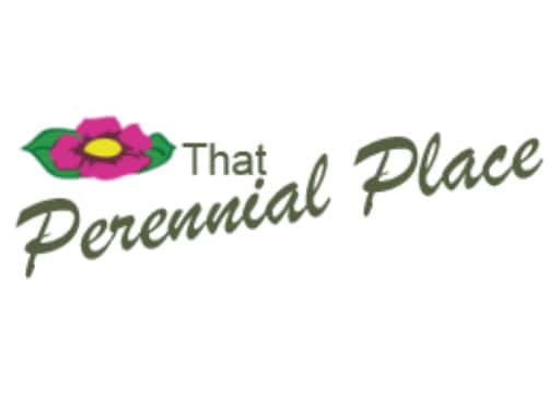 Logo of That Perennial Place with flower.